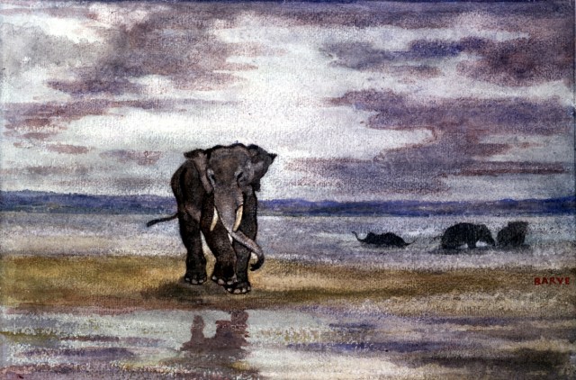 elephants