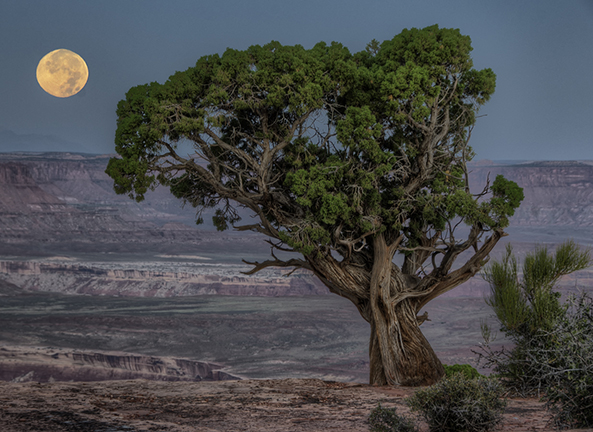 John Fowler http://www.flickr.com/photos/snowpeak/4947272194/