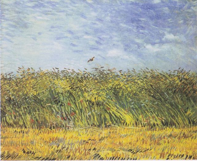 Van Gogh Wheat Field Lark