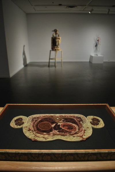 Anatomica paper quill