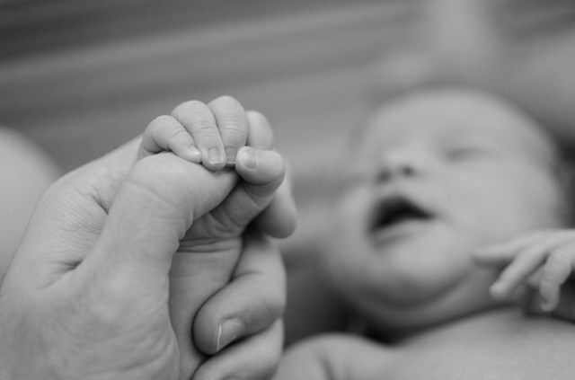 Baby Parenthood Finger Father Hand Love Mother